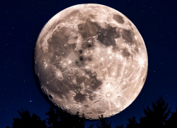 Последнее суперлуние года взойдет в небе над Воронежской областью