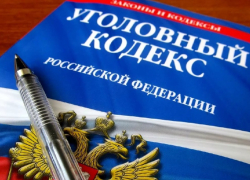 Воронежскую яжемать будут судить за пьяную драку с инспектором ПДН