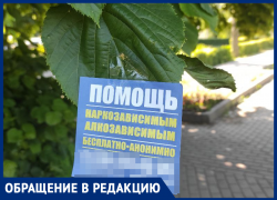 «Креатив воронежских волонтеров» показали жители облцентра