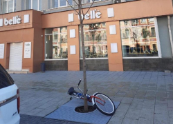 Воронежец бросил велосипед у дерева и повредил его