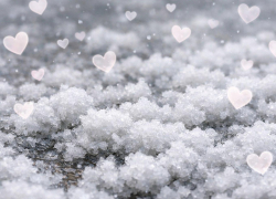 Влажные выходные ожидаются в Воронеже