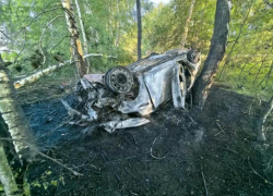 Подросток из Воронежа сгорел в машине на трассе в Панинском районе