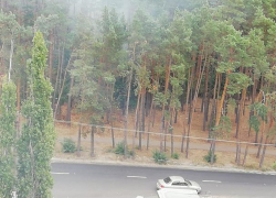 Лесной пожар у больницы "Электроника" попал на видео в Воронеже