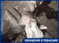 «Просто затыкают пакетом»: воронежцы и коммунальщики по-разному рассказали о ремонте трубы 