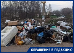 Антинаучное преображение улицы профессора Харина ввело воронежцев в ступор