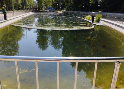 Экологи пояснили за грязный пруд в Центральном парке Воронежа