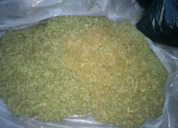 Житель Воронежской области хранил более 20 кг марихуаны 