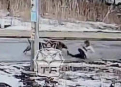 «Налетели со спины и повалили»: в Воронеже стая собак напала на девушку