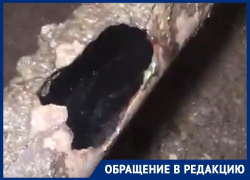 Как выглядит подвал воронежского дома, где пенсионеров обрекли на круглосуточное вычёрпывание фекалий