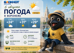 Под сорок градусов будет ощущаться погода в Воронеже