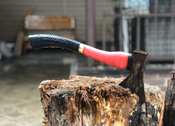 Названо самое популярное экологическое преступление 2020 года в Воронежской области