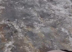 Мама с коляской наглядно показала трудности заледенелого Воронежа