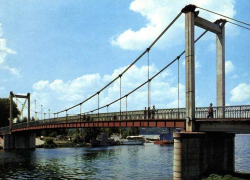 На развитие спорта Воронежская область получит субсидии в 250 миллионов рублей