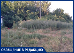 Нет освещения, автобусов и воды: жители сообщили о смерти маленького поселка в Воронежской области