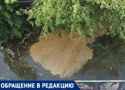 Гейзер кристально чистой воды из-под земли обрадовал детей в Воронеже 