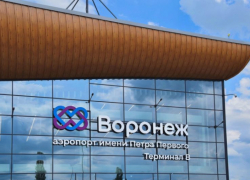 Техническое решение для открытия аэропорта прорабатывают воронежские власти