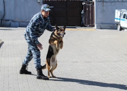 По следам телевизора отправились воронежские полицейские