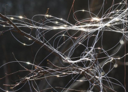 В Воронеже неизвестные натягивают леску на спуске в парке "Олимпик"