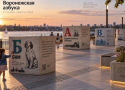 Тридцать три повода полюбить Воронеж могут появиться на набережной