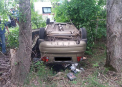   80-летняя старушка устроила смертельное ДТП с грузовиком в Воронежской области 