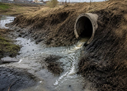 За ущерб почвам воронежское предприятие обязали выплатить 11,5 млн рублей