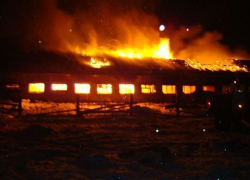 В Воронежской области ночью сгорели трактор и овцеферма