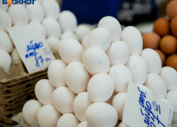 За резкий рост цен на яйца начали возбуждать уголовные дела в России 