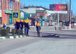 Сына экс-судьи районного суда жёстко зарезали в Воронежской области