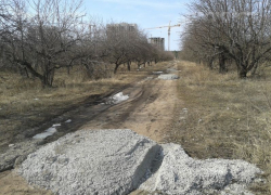 В воронежском Росимуществе уверены, что изъятие яблоневого сада нанесло ущерб государству
