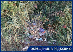 Стихийная помойка испортила репутацию главной набережной в Воронеже