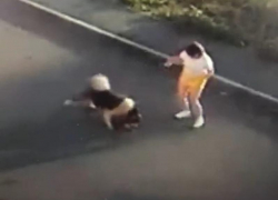 «У детей истерика»: разорвавший маленькую собачку пёс держит в страхе воронежский коттеджный посёлок 