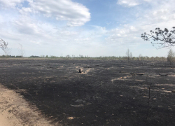 Последствия чудовищного пожара в воронежской Отрожке попали на фото