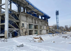Когда Центральный стадион профсоюзов полностью снесут в Воронеже, ответил Александр Гусев