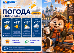 Самое время прогуляться: прогноз погоды в Воронеже
