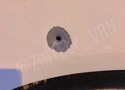 Новогодний корпоратив обернулся расстрелом автомобиля для жительницы Воронежа