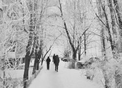 Когда в Воронеже начнется климатическая зима, рассказал главный метеоролог региона 