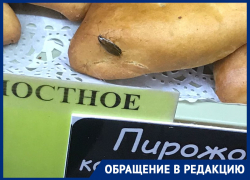 Пирожковый таракан попал в объектив смартфона и отвадил девушку от воронежской пекарни 