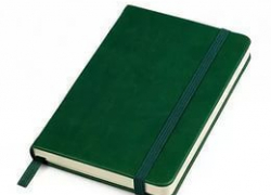 Зелёный Блокнот заработал. Ещё один адвокат задержан в Воронеже