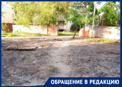 Сквер раздора: благоустройство может превратиться в соседскую войну между воронежцами