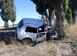 Водитель «Нивы» врезался в дерево и погиб в Воронежской области 