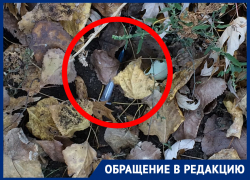 О шприцах с кровью в центре Воронежа предупредили жителей