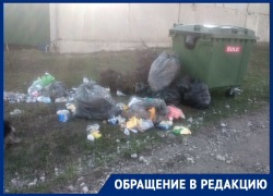 Мусор валяется раз, мусор валяется два: воронежец пристыдил компанию, отвечающую за коммунальные отходы 