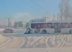 Местные жители вытолкнули автобус из сугроба в Воронеже