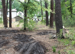 Депутаты Воронежской городской Думы прохлопали продажу детских лагерей под коттеджную застройку?