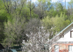 До +9: долгожданное мартовское тепло заглянет в Воронеж