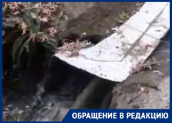 Зловонная река с фонтанами разливается по скверу в Воронеже