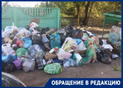 Зловонная гора посреди двора выросла в Воронеже