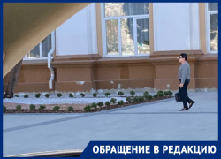 У воронежской библиотеки высадили мопсов 