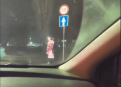 "Дикого" Дедушку Мороза заметили на воронежской улочке