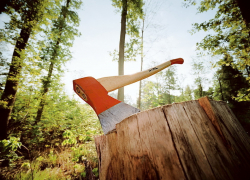 За вырубку дерева для печи воронежцу грозит колония